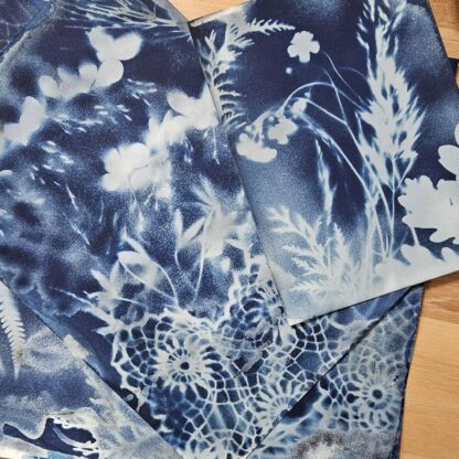 Post-cyanotype workshops - Image 4