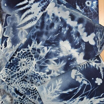 Post-cyanotype workshops - Image 3