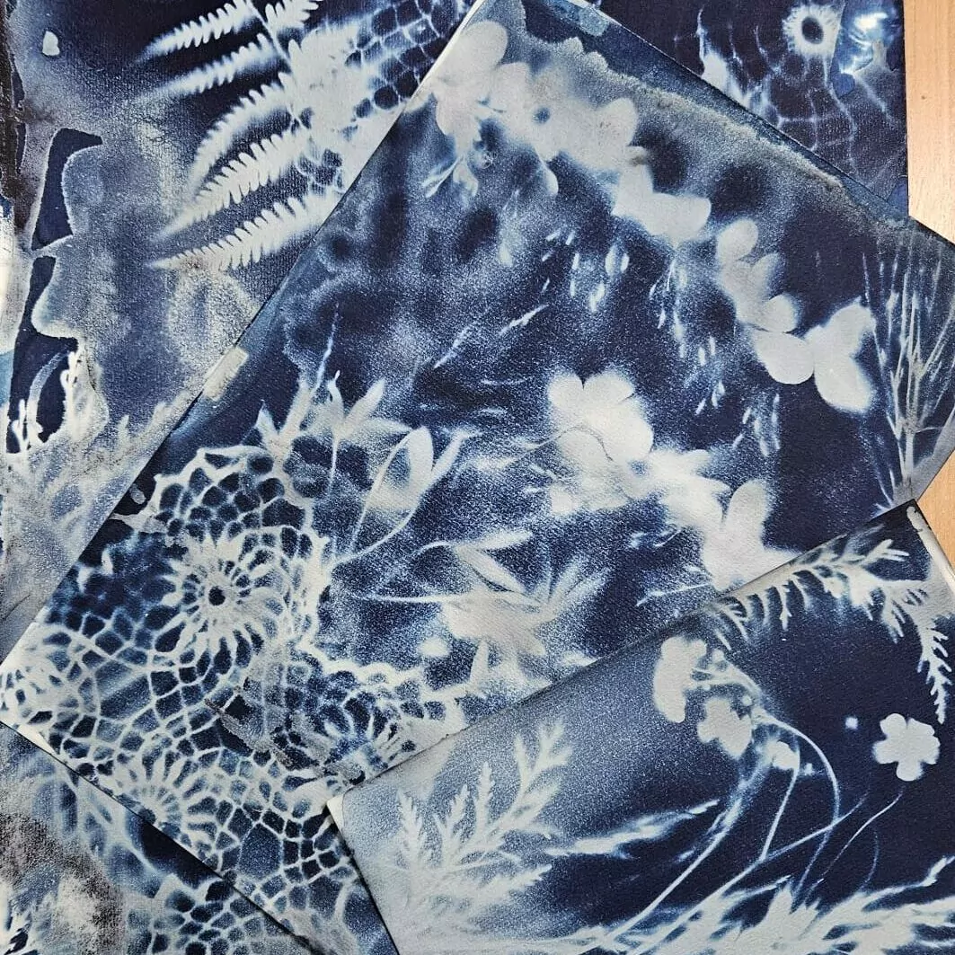 Post-cyanotype workshops - Image 3