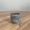 Salt&Pepper tumbler with swirly carvings (2) - Image 3